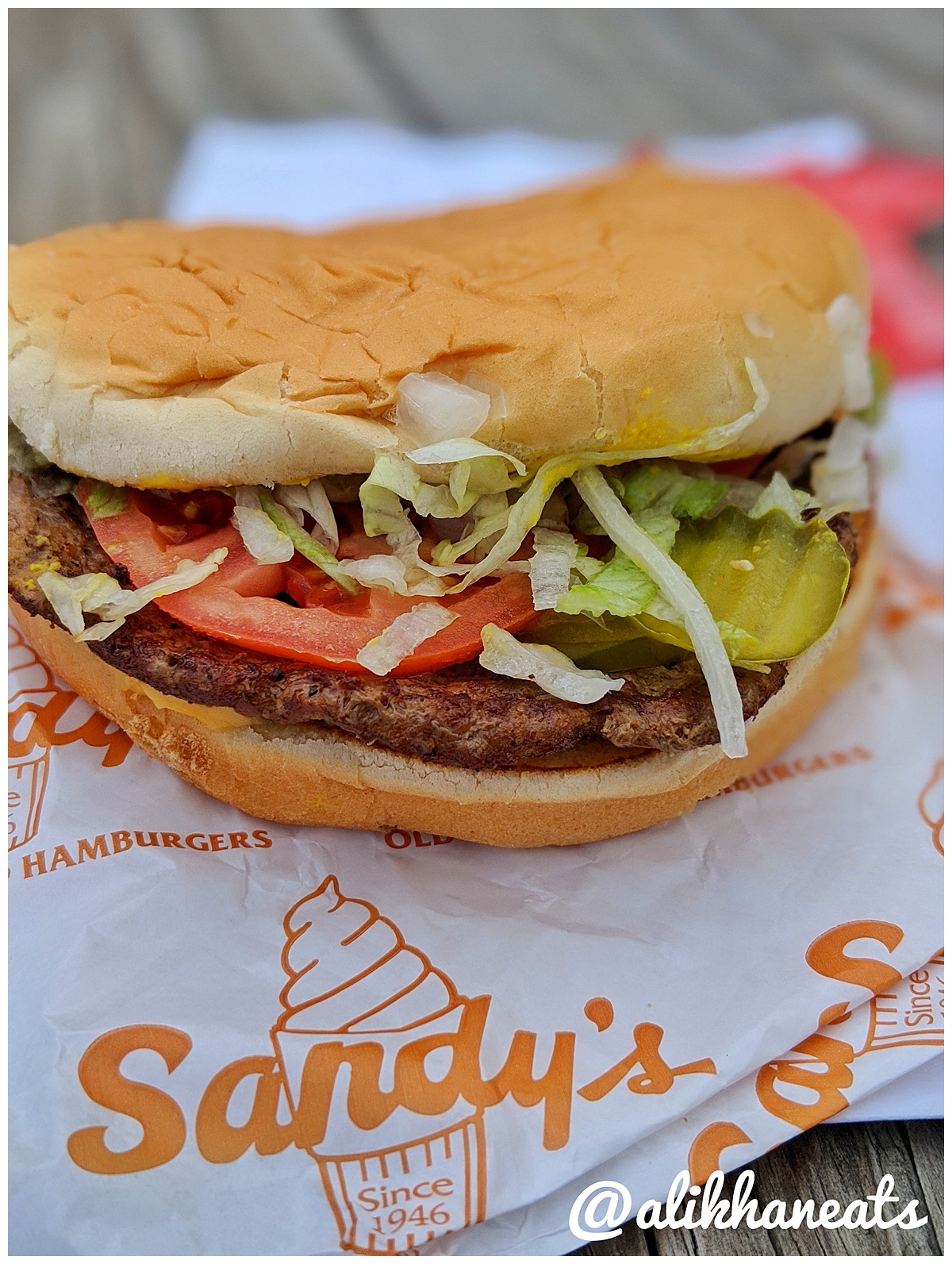 Sandy's Hamburgers burger portrait
