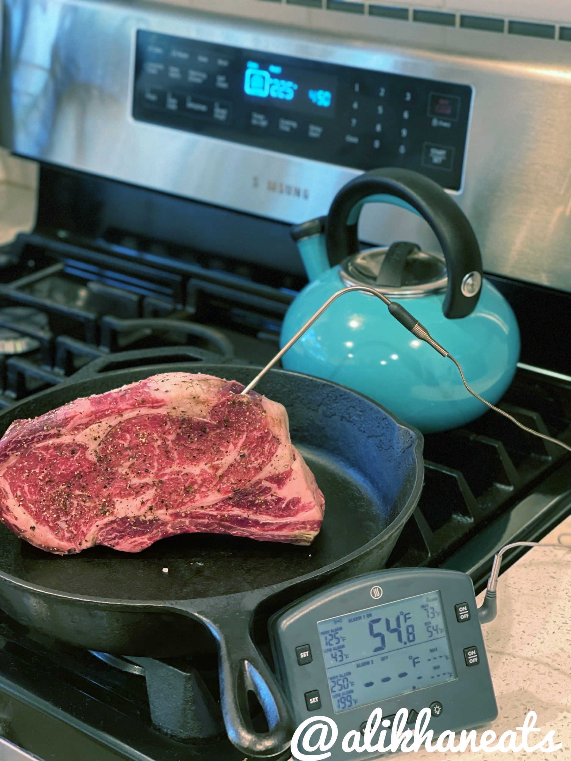 Reverse Sear thermometer set up